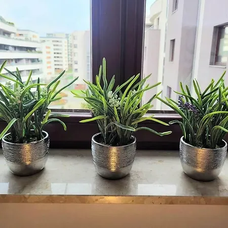 Sophie 3 Rooms, 2 Bathrooms, 8 Persons Apartment Krakow
